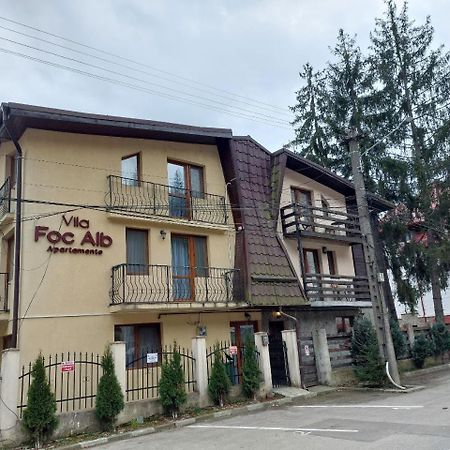 Vila Foc Alb Apartamente-Buşteni Dış mekan fotoğraf