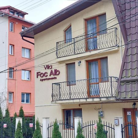 Vila Foc Alb Apartamente-Buşteni Dış mekan fotoğraf