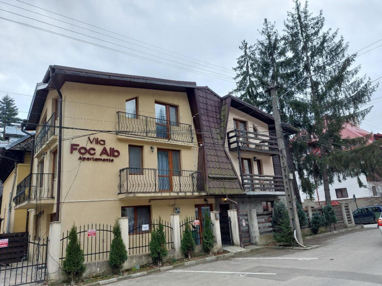 Vila Foc Alb Apartamente-Buşteni Dış mekan fotoğraf