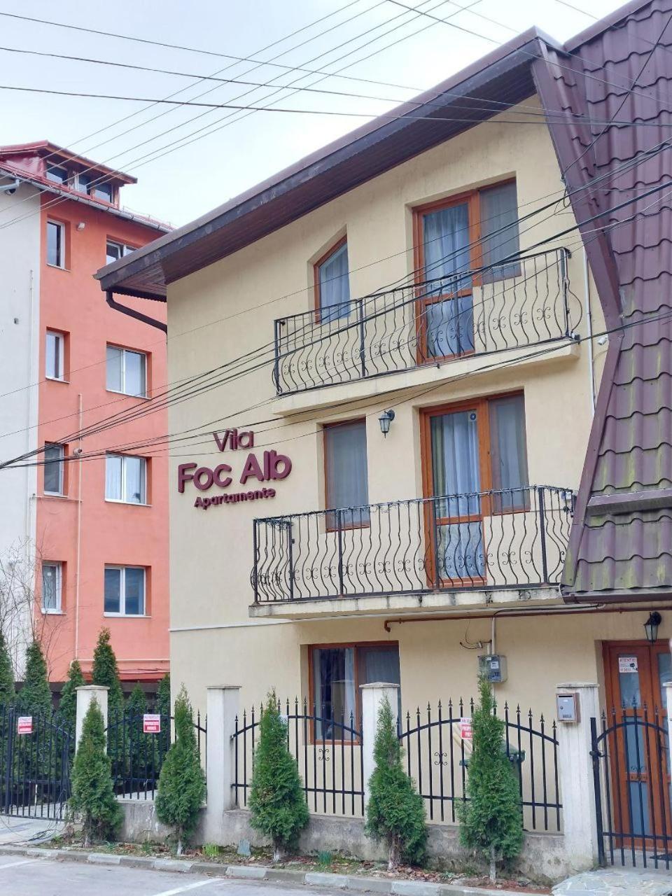 Vila Foc Alb Apartamente-Buşteni Dış mekan fotoğraf